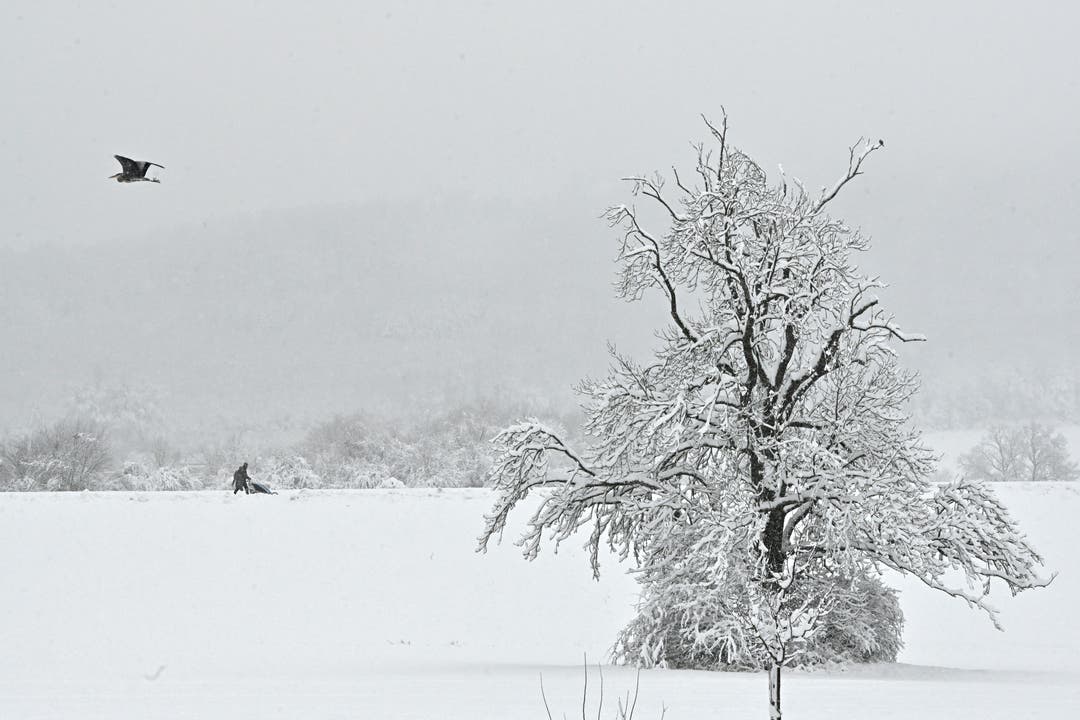 Winterzauber an der Dünnern im Gheid zwischen Olten und Wangen.