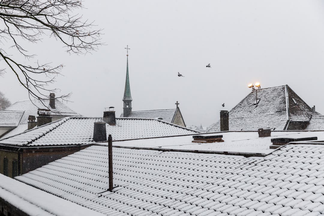 Weisse Dächer von Solothurn