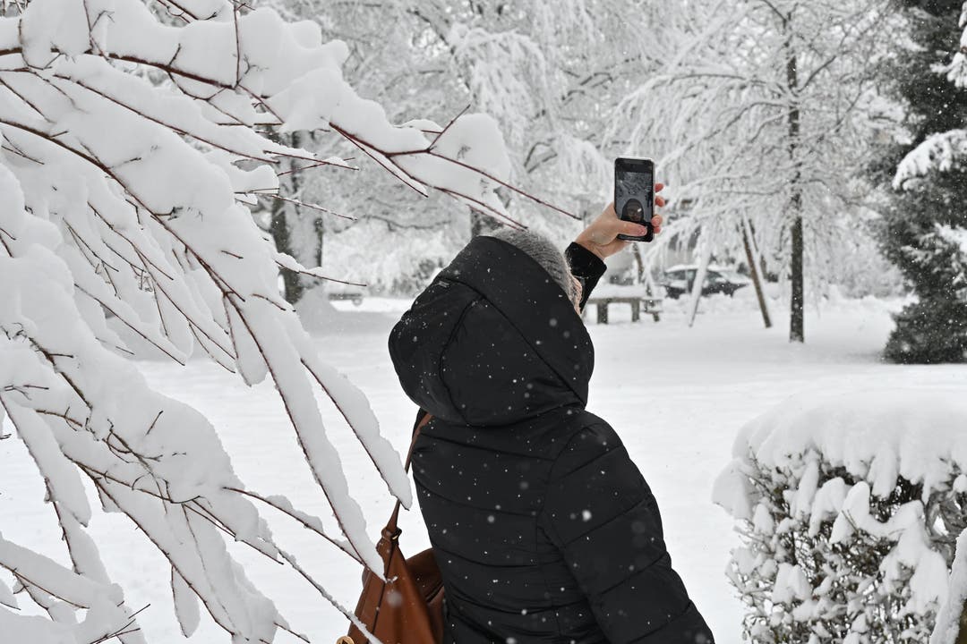 Selfie mit Schnee im Vögeligarten
