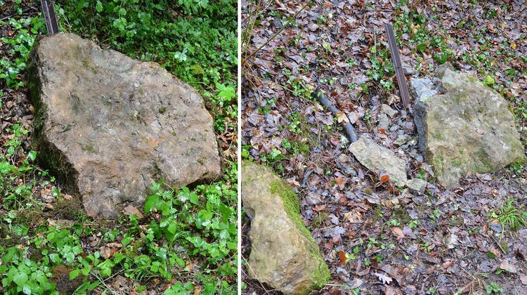 Unbekannte zerstören Gesteinsplatte – wollten sie Fossilien stehlen?