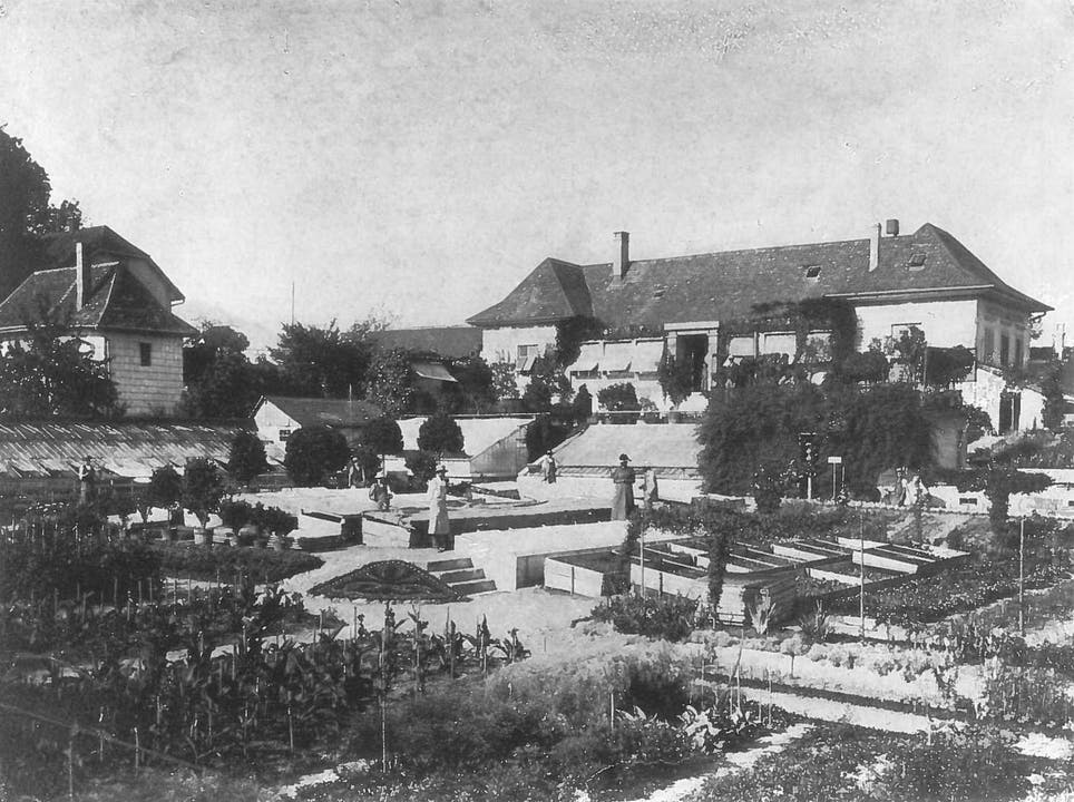 Die ehemalige Gärtnerei Wyss an der Gärtnerstrasse 21 um 1900