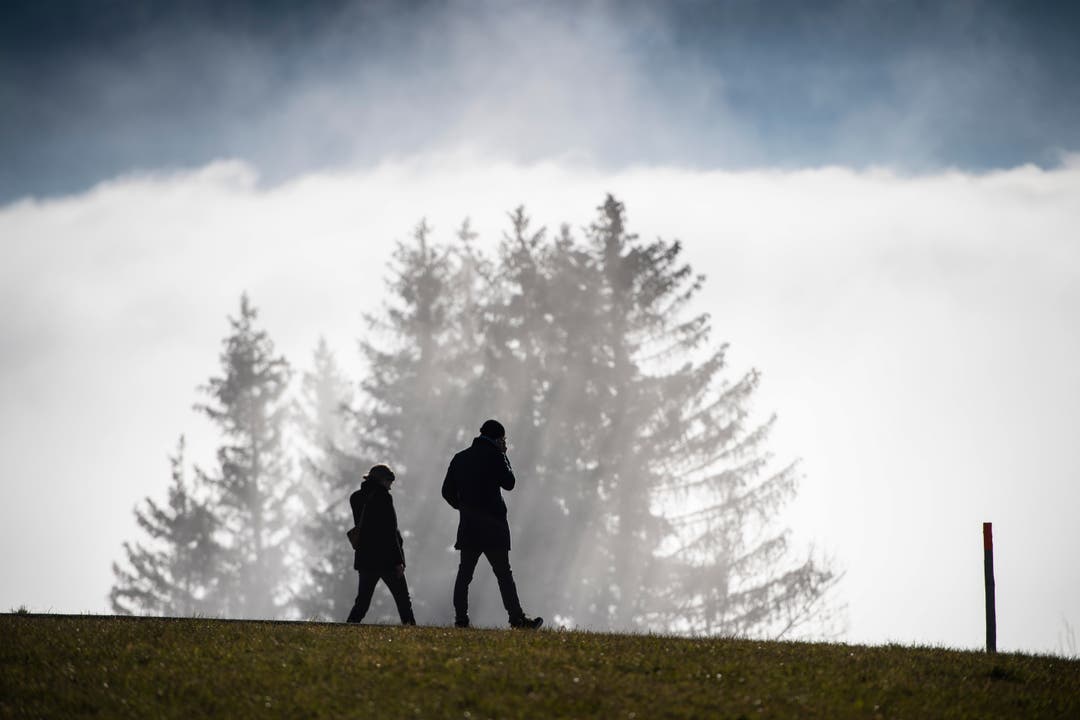 Wie entsteht Nebel? Einfach erklärt