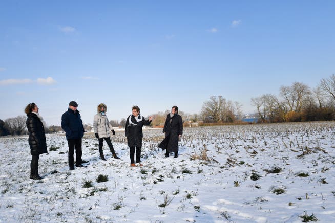 Claudia Hofstatt, Klaus Frei, Margrit Klein, Claire Traub und Ursula Frei auf der verschneiten Wiese, wo das Rekadorf gebaut werden soll.