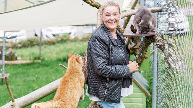 Für das Tierheim des Aargauischen Tierschutzvereins könnte es eng werden, sagt Präsidentin Astrid Becker.