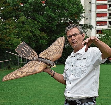 Entwickler Marcel Maurer mit dem künstlichen Falken «Robird».