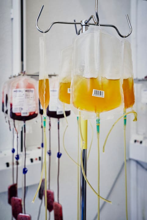 Jedes Jahr verzeichnet die Stiftung Blutspende SRK Aargau-Solothurn 22'000 Blutspenden.