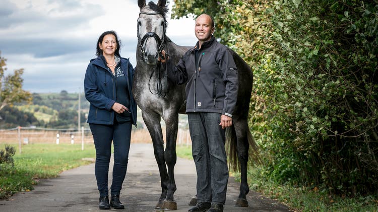 «Eine Bestätigung für die jahrelange Arbeit»: Dieses Aargauer Ehepaar lebt für die Pferdezucht