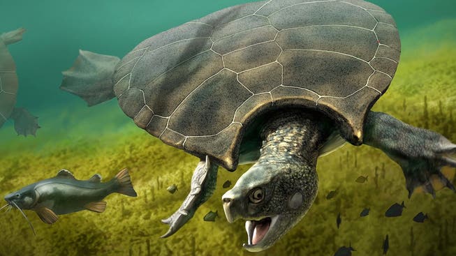 So stellen sich die Forschenden der Universität Zürich die in Südamerika entdeckten Riesenschildkröten vor.