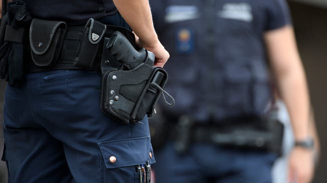 Am späten Freitag Abend kam es bei einem Einsatz der Kantonspolizei Thurgau zu einer Schussabgabe durch einen Polizisten. Verletzt wurde niemand.