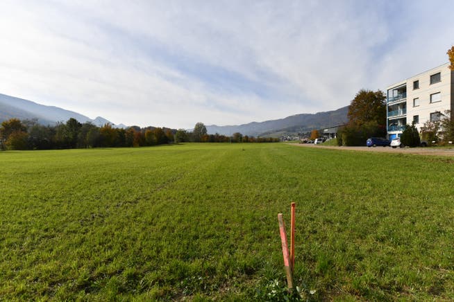 Auf diesem Grundstück am Blochenmoosweg in Balsthal will die Centravo AG ein Produktions- und Lagergebäude erstellen. (Archivbild)