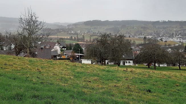 Blick von der «Mairüti» auf Zetzwil und das Tal.