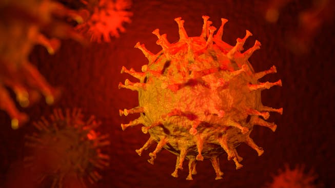 Das Corona-Virus