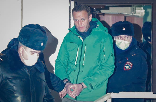 Alexej Nawalny (Mitte) wurde kurz nach seiner Ankunft in Moskau festgenommen.