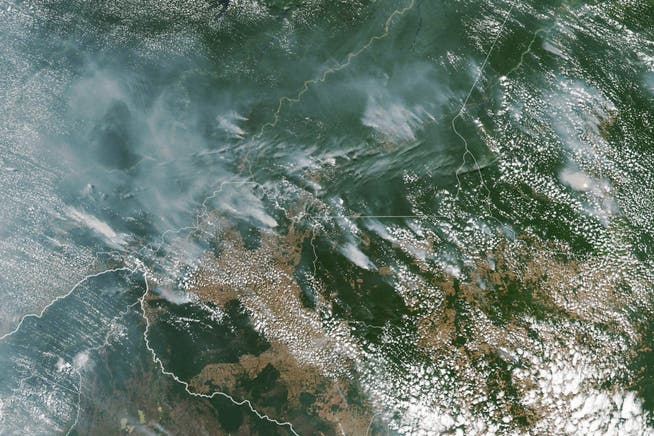 Eine Sattelitenaufnahme zeigt die eindrücklichen Ausmasse der Waldbrände im Amazonasgebiet.