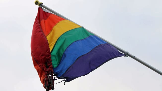 Eine teilweise zerstörte Regenbogenfahne, das internationale Symbol für lesbische, schwule, bisexuelle und transsexuelle (LGBT) Menschen. (Symbolbild)
