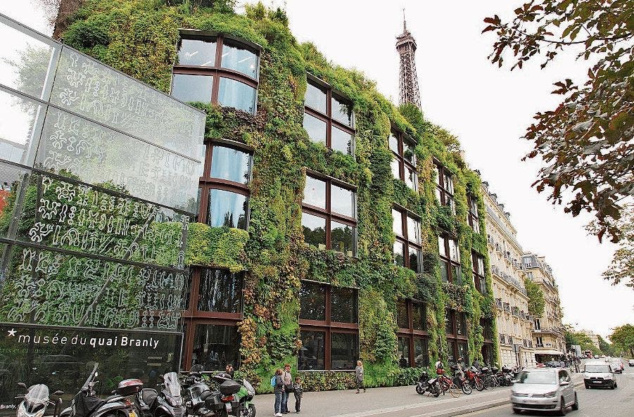 Grüne Vorbilder: Das Musée du Quai Branly in Paris...