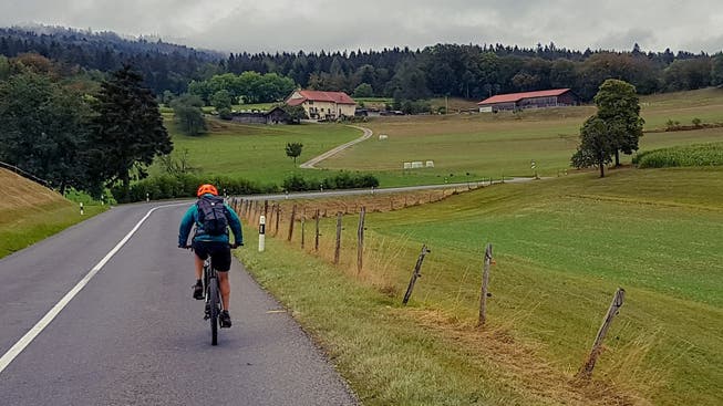 Mit dem E-Bike durch den Naturpark Jura Vaudois. Trainierte Biker können auf die elektrische Unterstützung gut verzichten. Wetterfeste Kleidung ist so oder so Pflicht.