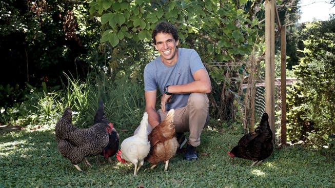 Benjamin Steiner und seine Familie halten Hennen im eigenen Garten: Nachhaltigkeit ist für ihn in allen Lebensbereichen zentral.