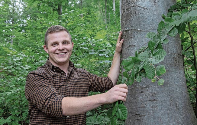 Joshua Huber im Balsthaler Wald neben einer Buche, die ungefähr viermal älter ist als der neu erkorene Kreisförster.