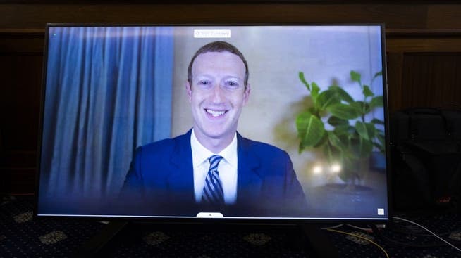 Nicht nur er hat gut lachen: Facebook-Chef Mark Zuckerberg bei einer US-Senatsanhörung.