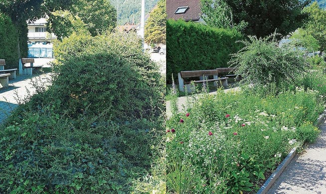 Vor und nach der Umsetzung einer naturnahen Gestaltung in Laupersdorf.
