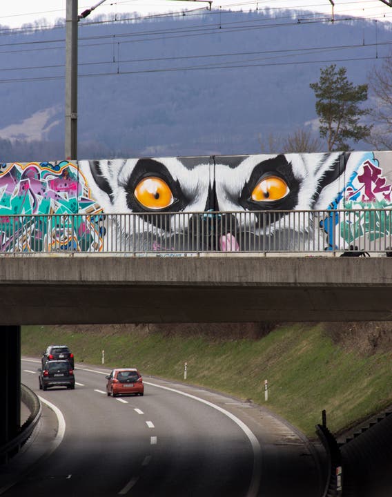 Ihn kennen wohl alle Autofahrer im Aargau: Der Lemur auf der Eisenbahnbrücke.