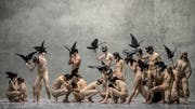 Die Tänzerinnen und Tänzer des Balletts Zürich erschaffen Bilder einer albtraumhaften Welt. (Bild: Gregory Bartadon)