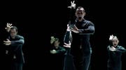 Marco Goeckes Choreografie «Nijinski» ist ein grosser Erfolg. (Bild: Carlos Quezada)