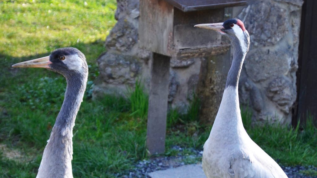 Partnervermittlung zentralschweiz