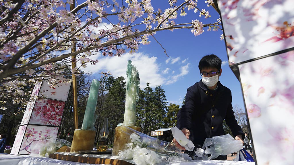 Gedenken an Fukushima-Katastrophe im Zeichen des ...