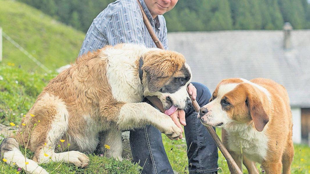 Frau sucht mann rheintal