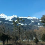 Auf diesem Inselchen zwischen Aus- und Einfahrt der A13 bei Sevelen stand früher ein dichtes Wäldchen. Aus Sicherheitsgründen wurden dort viele Bäume entfernt. (Bild: Jessica Nigg)