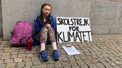Greta Thunberg streikt vor dem schwedischen Regierungsgebäude im August 2018 (Bild: HO)