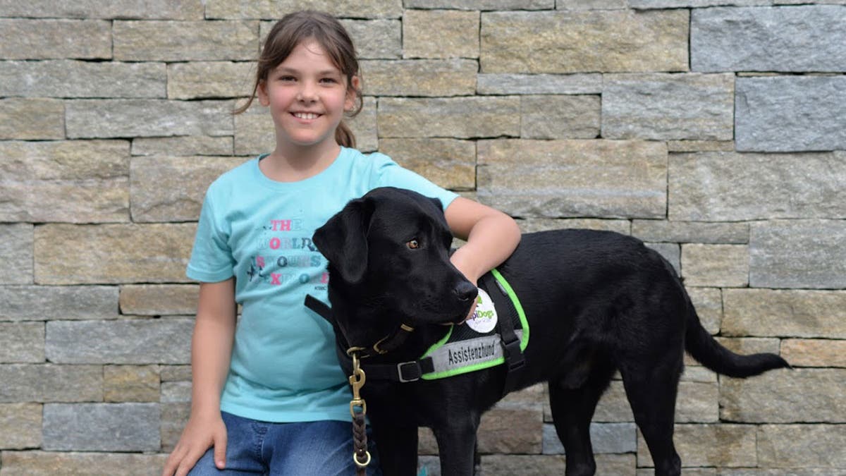 Achtjähriges Mädchen will sich einen Hund anschaffen weil er ihre