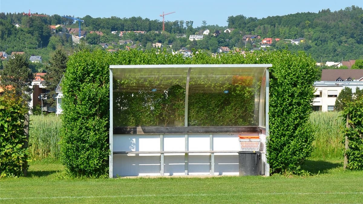 Birmensdorf Fc Will Sportplatz Beleuchten Gemeinde Bricht So Ein Versprechen
