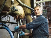 Milchbauer Hanspeter Jost auf seinem Hof in Gunzwil. Bild: Dominik Wunderli (17. Oktober 2019)