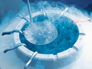 Die Eizellen werden bei minus 196 Grad in flüssigem Stickstoff eingefroren. (Bild: Getty)