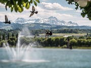 «Die Region Ostschweiz hat viel zu bieten», sagt Bruno Damann – See und Alpstein inklusive. (Bild: Urs Bucher)
