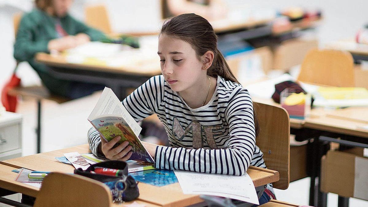Abstimmung - «Wir sind für zwei Fremdsprachen» | Luzerner ...