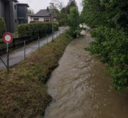(Bild: Raphael Rohner)