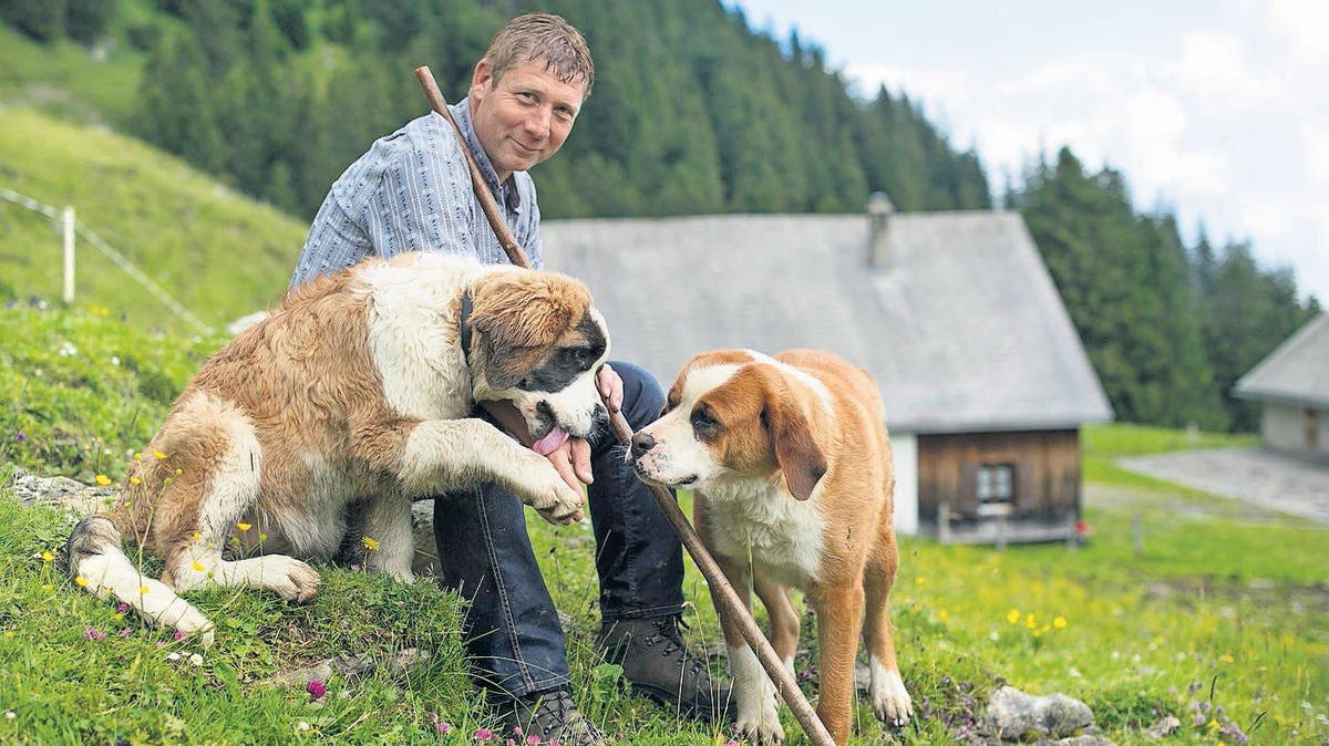 Tagblatt mann sucht frau