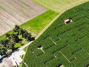 So sieht ein Teil das Labyrinths aus der Vogelperspektive aus. Aber der ganze Anblick soll natürlich nicht verraten werden. (Bild: Donato Caspari)