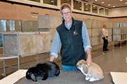 OK-Präsident Werner Ettlin mit Ruben (links) und Helmi. Im Hintergrund wird die Ausstellung aufgebaut. (Bild: Franziska Herger (Stansstad, 30. Januar 2019))