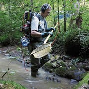 Fischereiaufseher Felix Ammann beim Notabfischen. (Bild: Werner Schelbert (Baar, 26. Juli 2018))