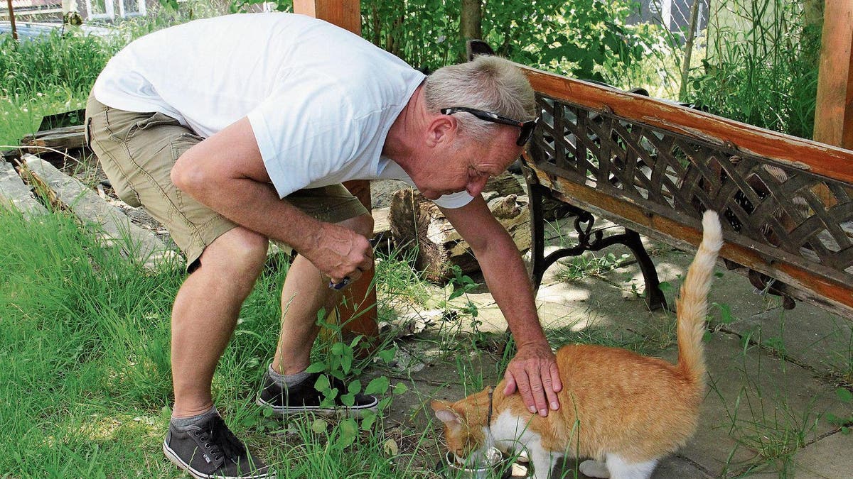 tierschutz detektiv fur katze hund und schaf