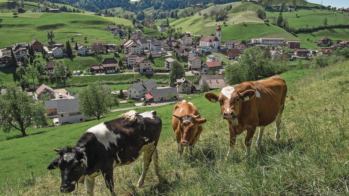 FEHLENDES BUDGET: Randregionen fÃ¼rchten sich vor dem