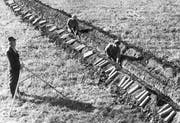 Das Bild aus dem Bundesarchiv zeigt den Bau eines Drainagesystems in den 1950er-Jahren. (Bild: PD)
