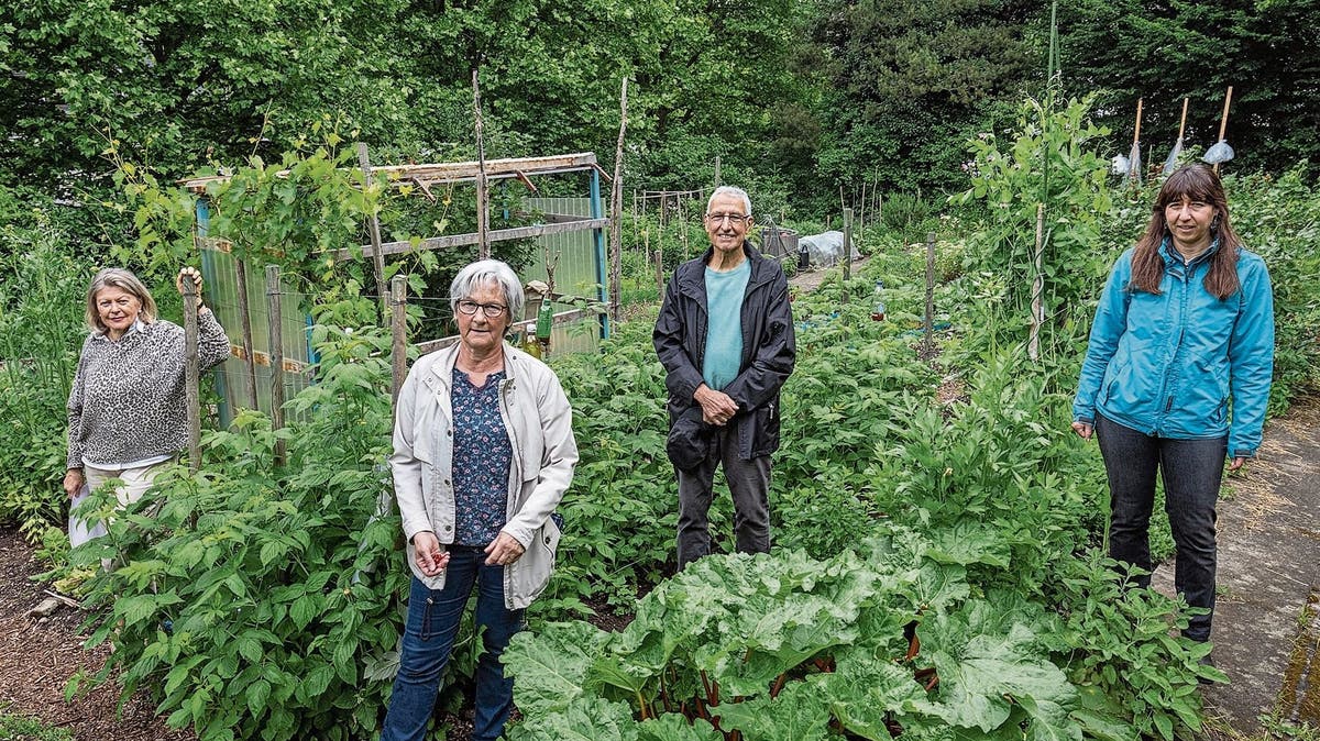 Olten Ersch ttert ber Pl ne der Stadt Vorreiter des Olten Ersch ttert ber Pl ne der Stadt Vorreiter des