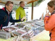 Von «Cocos» bis «Coruba»: bei der Praliné Werkstatt gibt es Feinstes. (Bild: Hansruedi Rohrer)