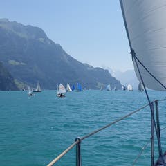 Hochbetrieb auf dem Urnersee! (Bild: Priska Arnold, 30. Juni 2019)